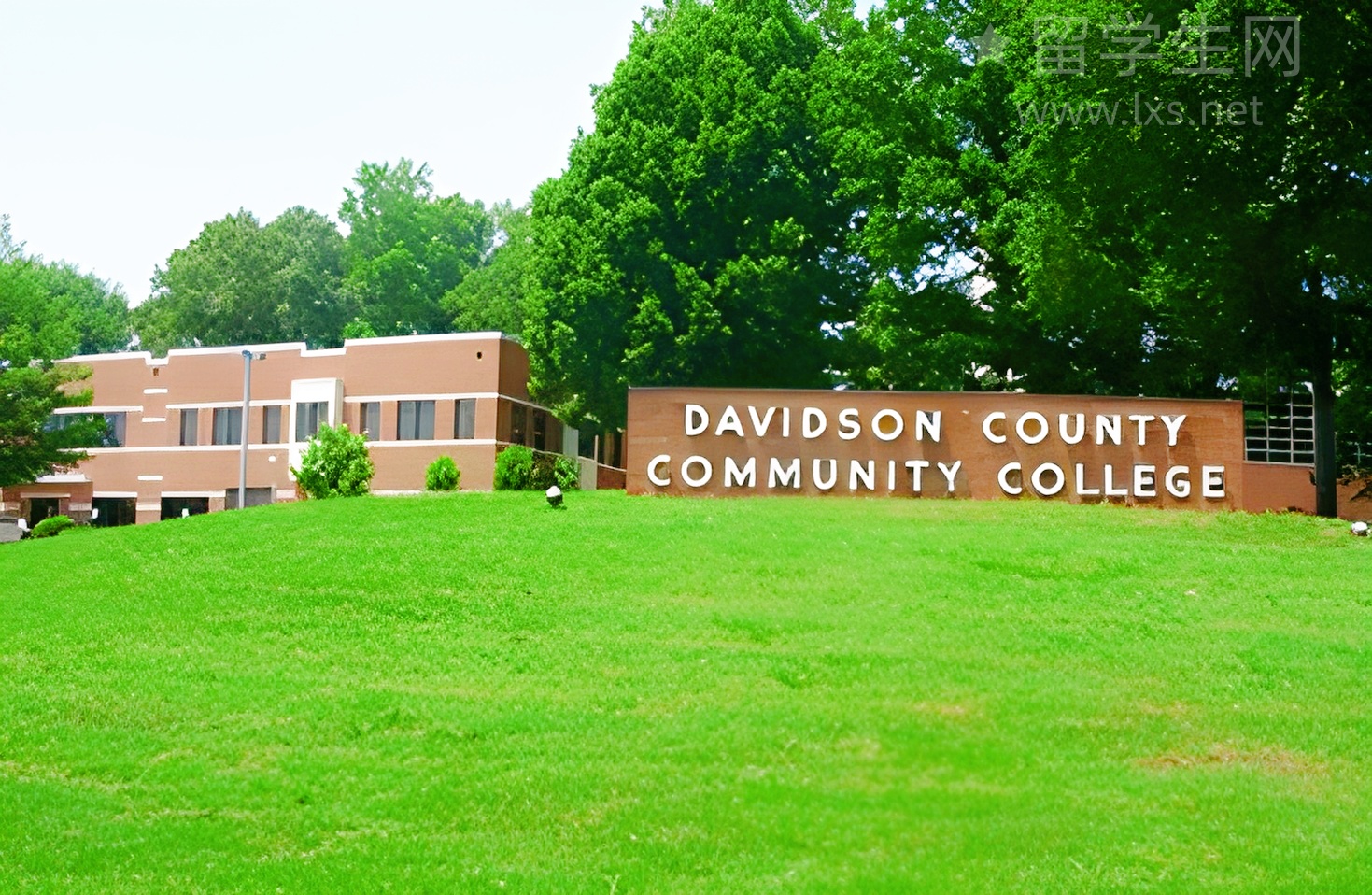 雅思通关，解锁澳洲移民快速通道