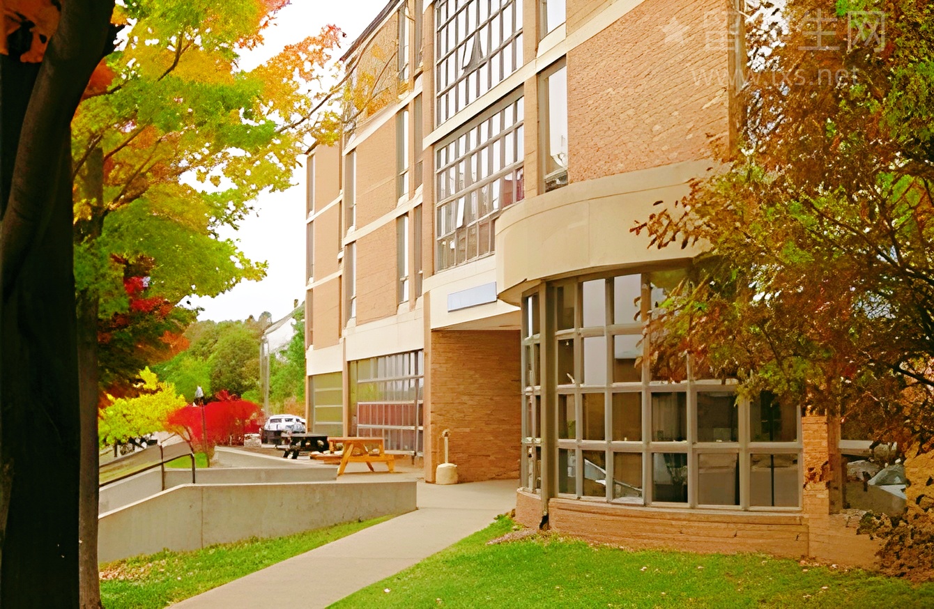 雅思上六，有这篇攻略就够了