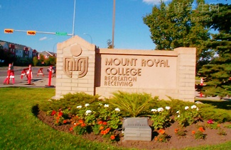 雅思机构哪家好？避坑指南来了！