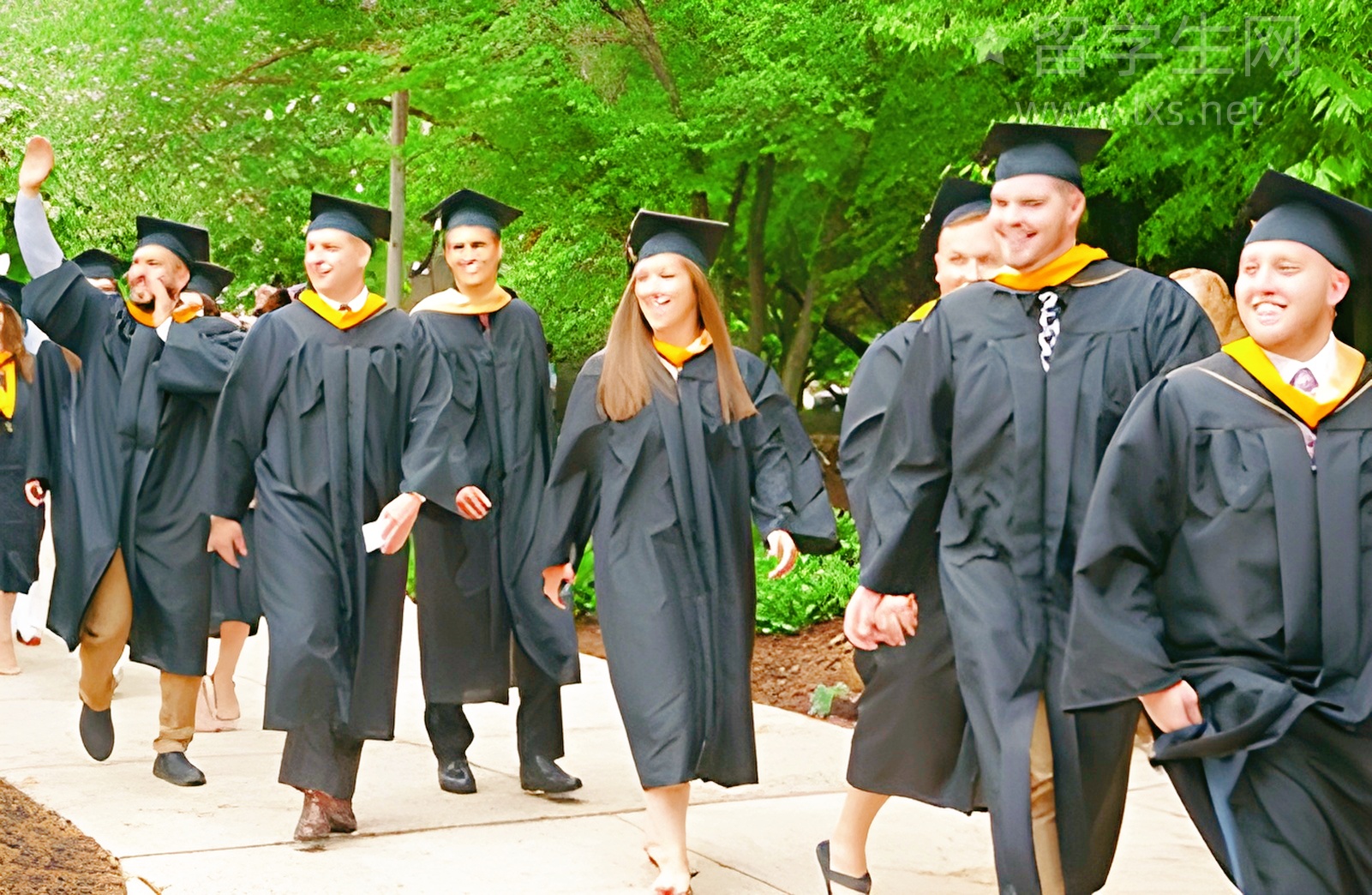 加拿大留学闭眼选，热门专业和神校盘点