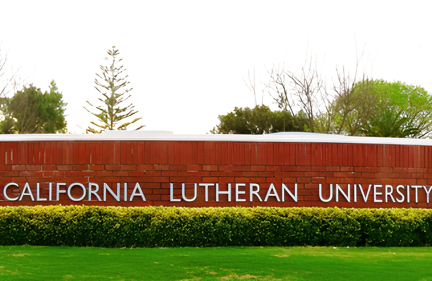 雅思口语开场即高光，第一印象直接拉满