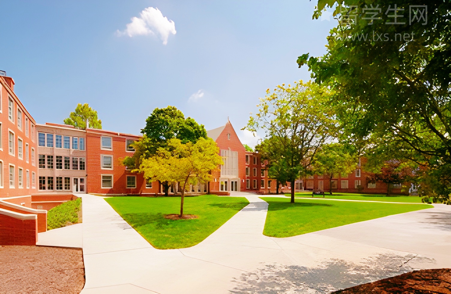 托福雅思高分秘籍，英文原来这么学！