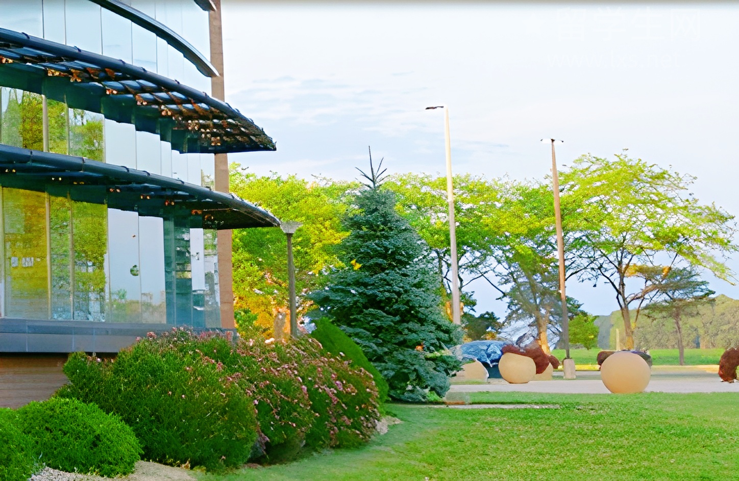 雅思口语尴尬到冷场？一招帮你破冰