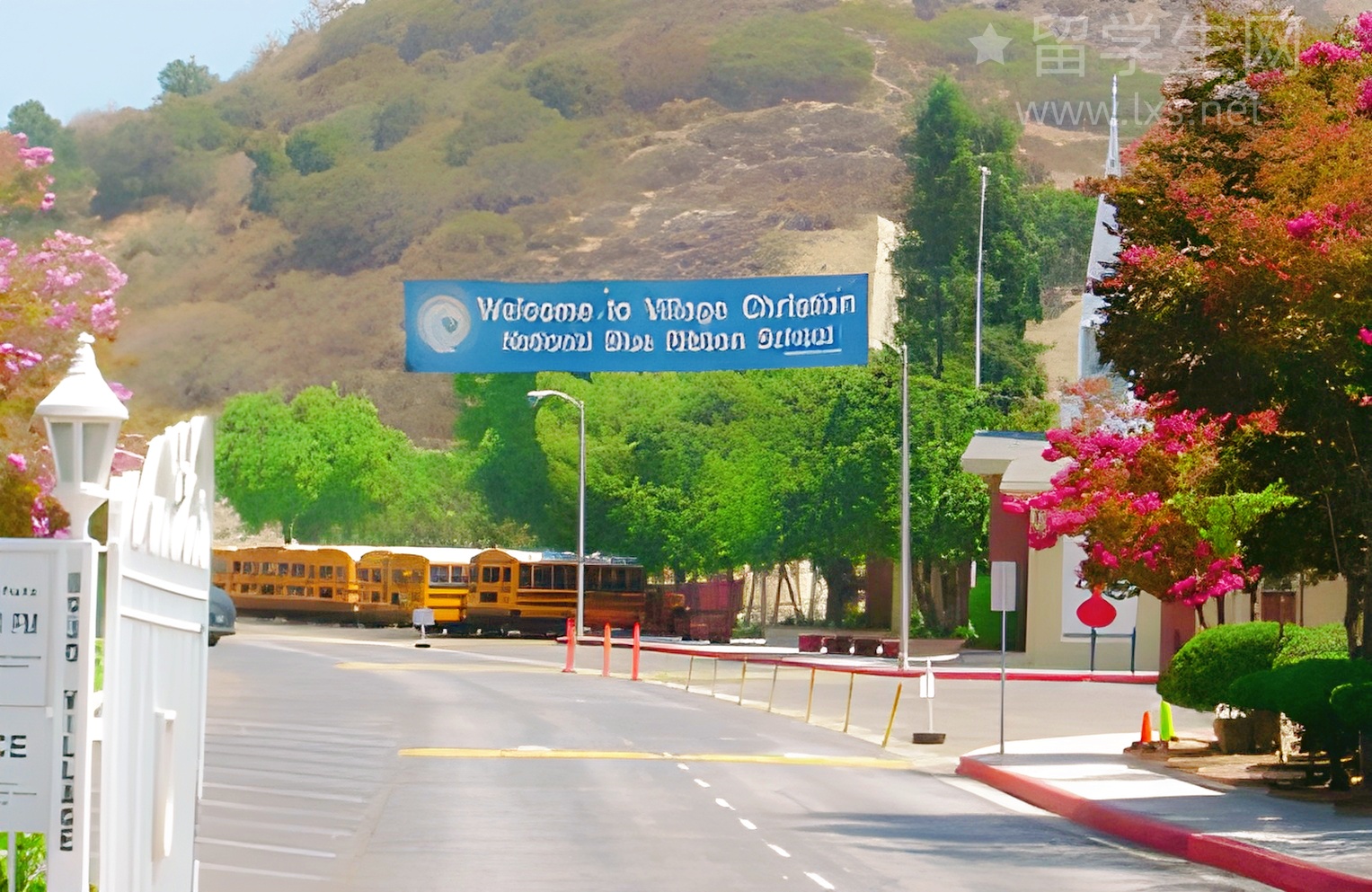 日本留学真香警告！超全干货快收藏