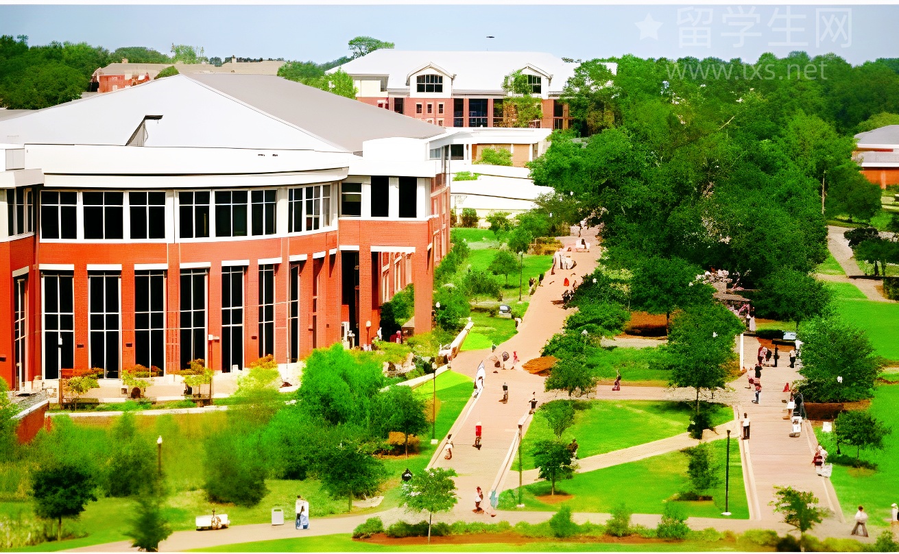 不做题海，雅思阅读也能快速提分