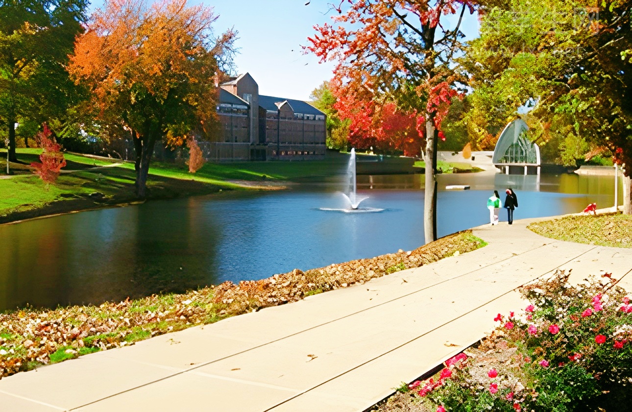 伯雅思：精英圈都在用的思维利器