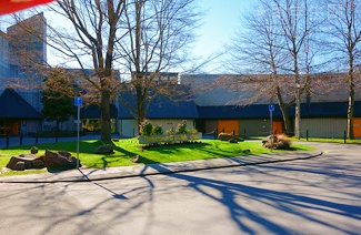 雅思7.25，一个普通人的上岸笔记