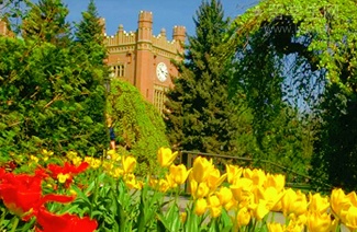 雅思语法提分秘籍，考前看这篇就够