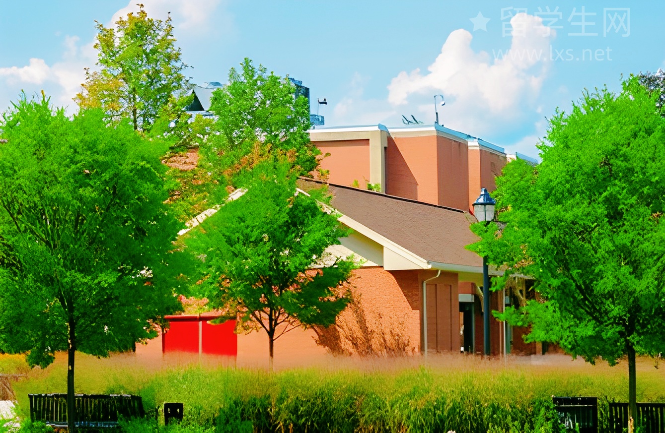 一校多申？英国大学申请上限大揭秘