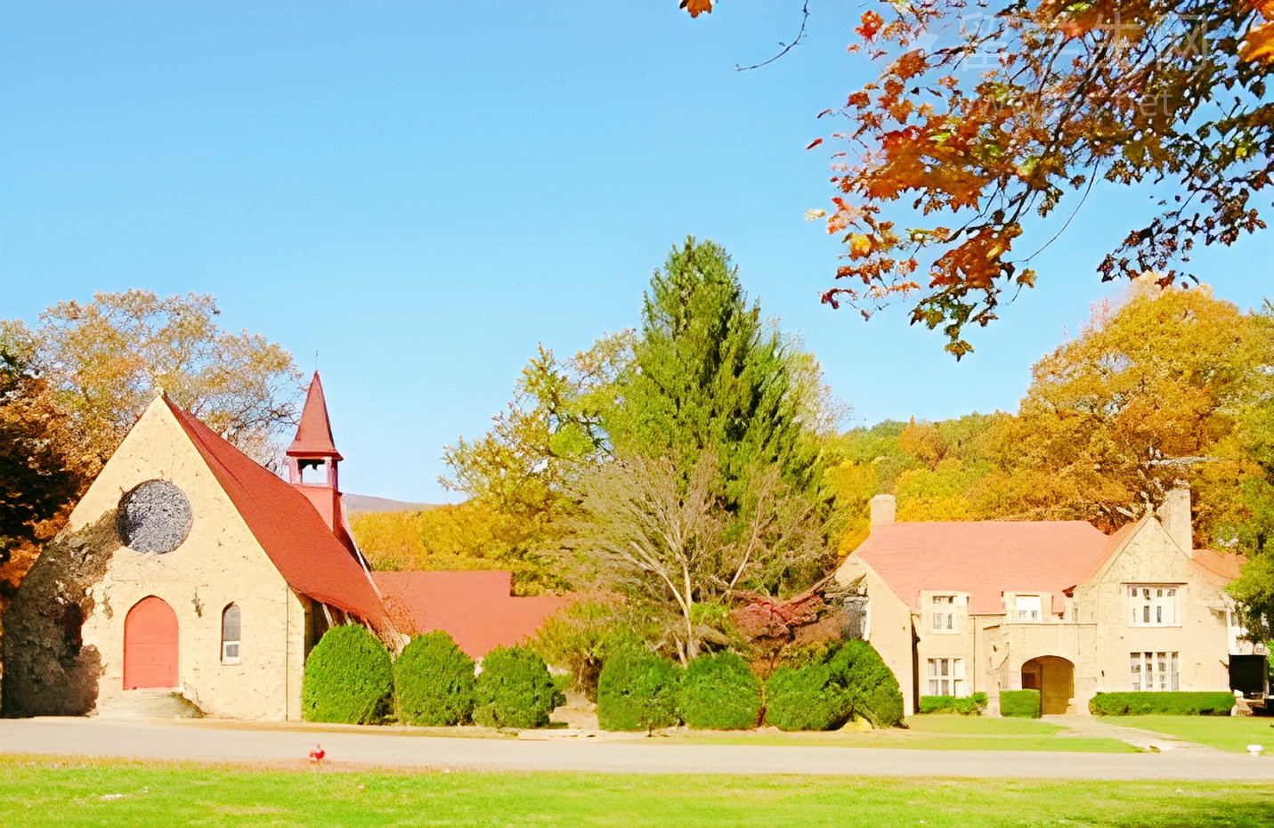冲刺多大本科，这份申请指南请收好