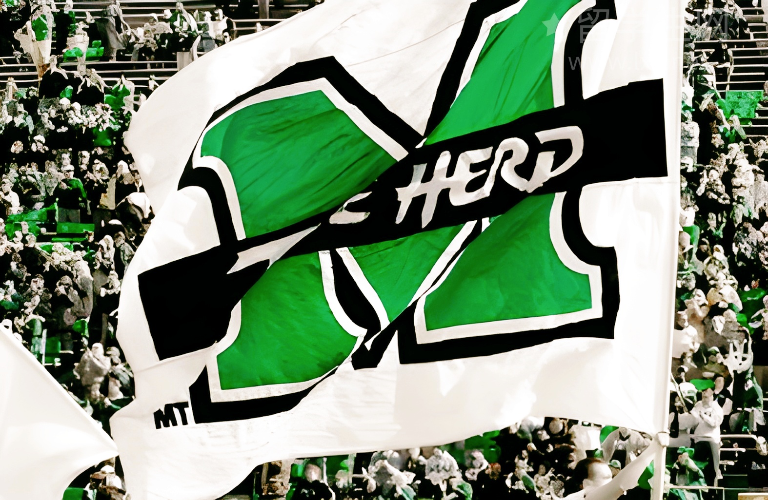 雅思培训费揭秘：这样选课能省一半