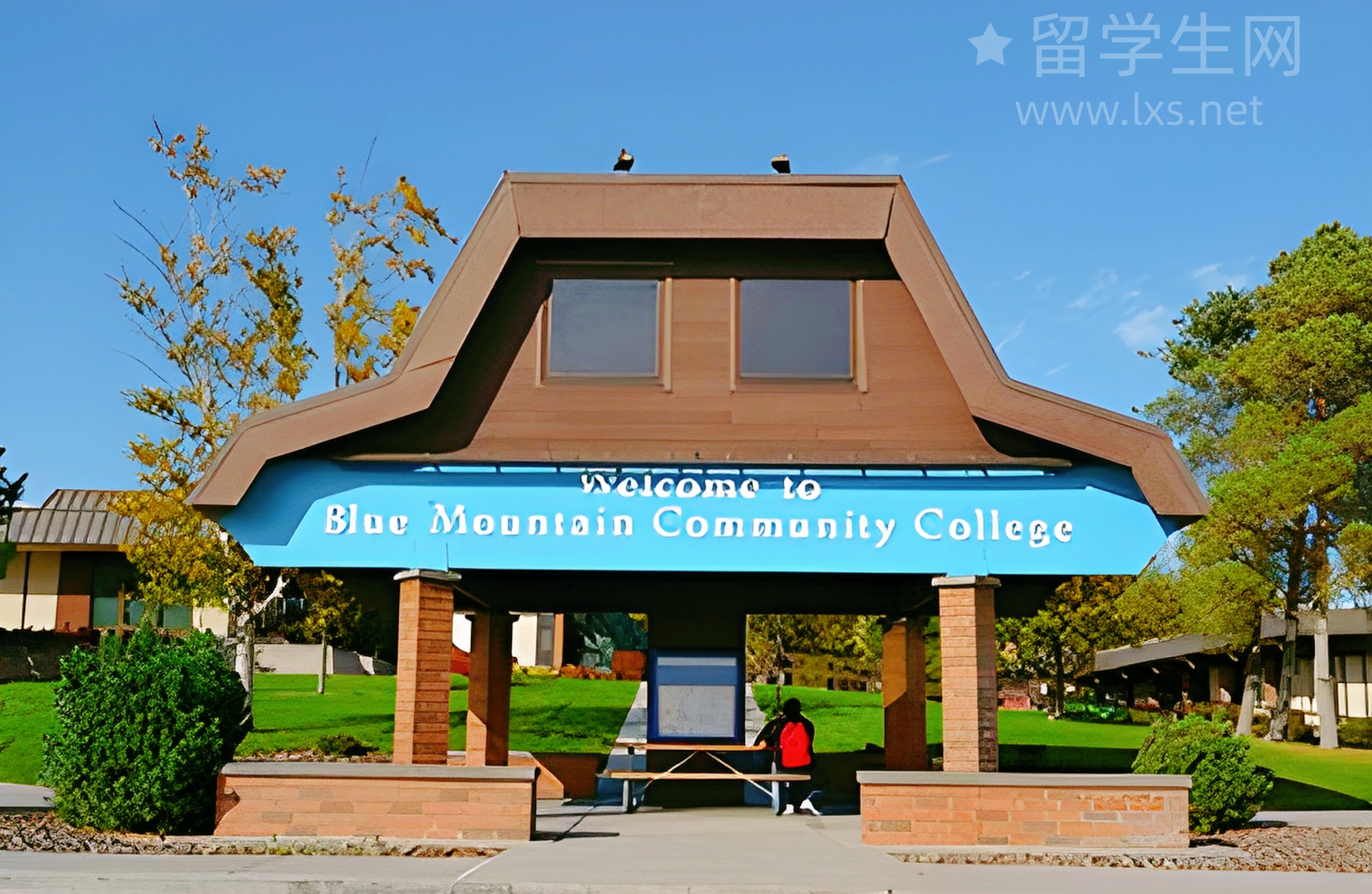 这样做，雅思写作稳上6分