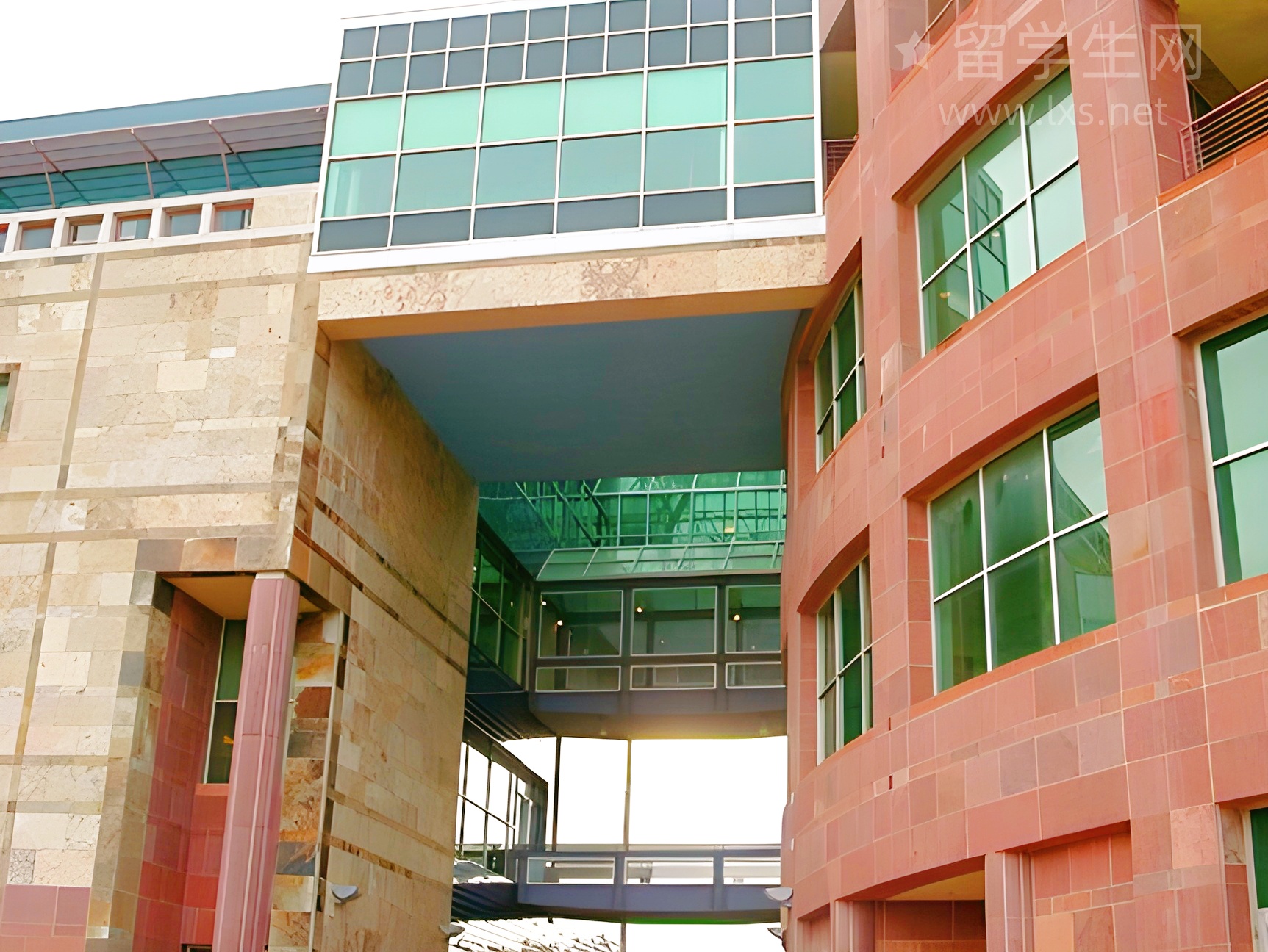 雅思高分秘籍：艺术生也能轻松逆袭