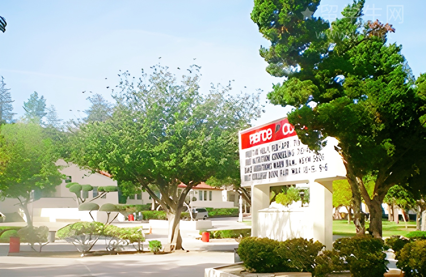 稳bag雅思7+，你只差这篇攻略