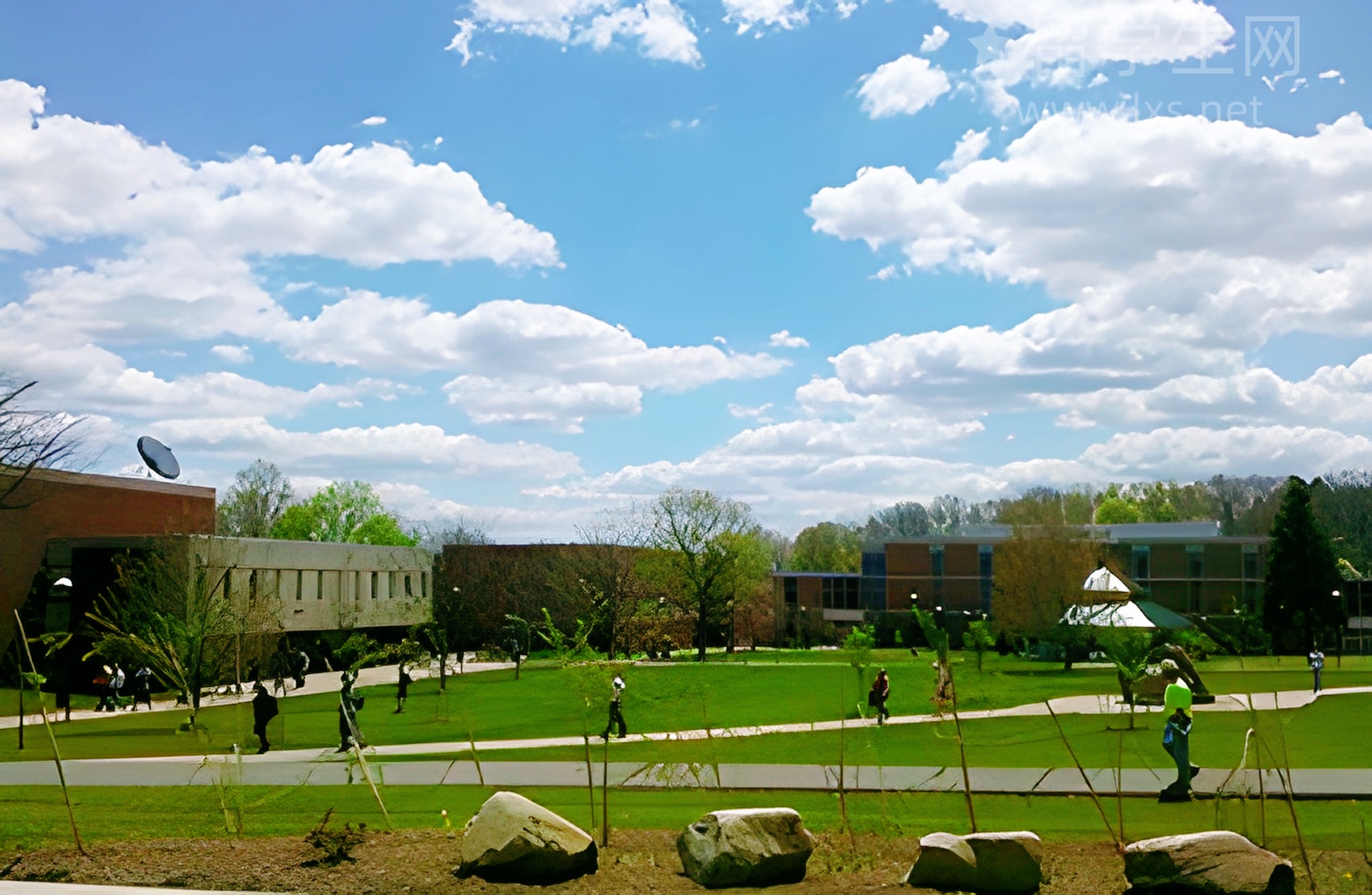 雅思阅读原文，高分学霸都这么刷