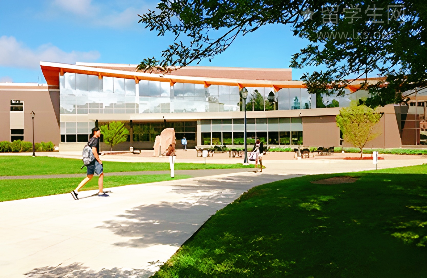 初中生挑战雅思？解锁留学新路径