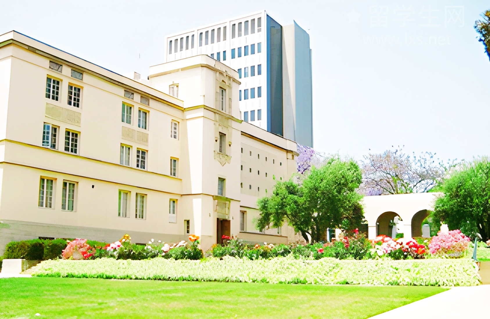 雅思：哪个年龄段最适合你？