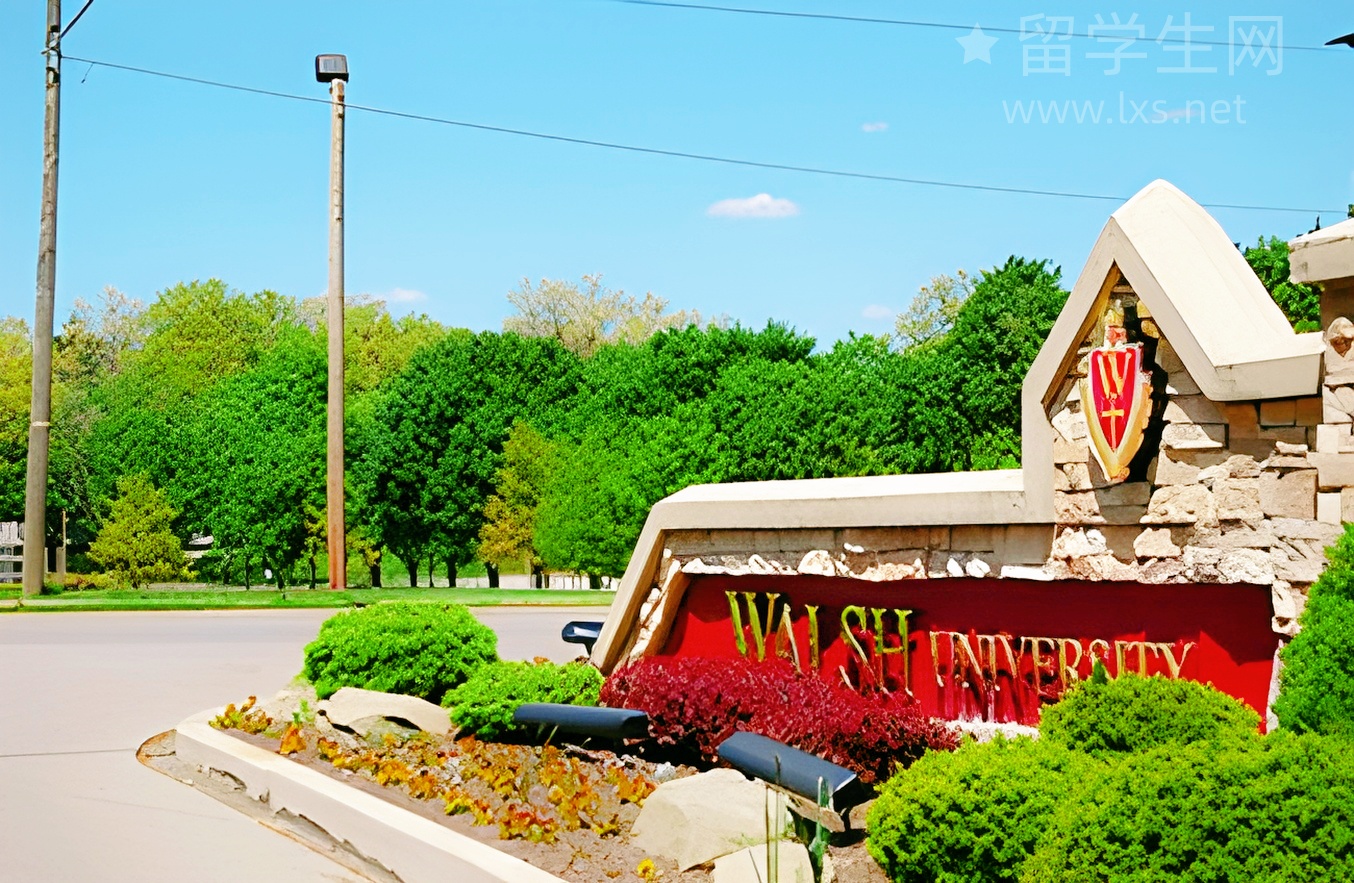 别让你的努力，成为雅思的智商税