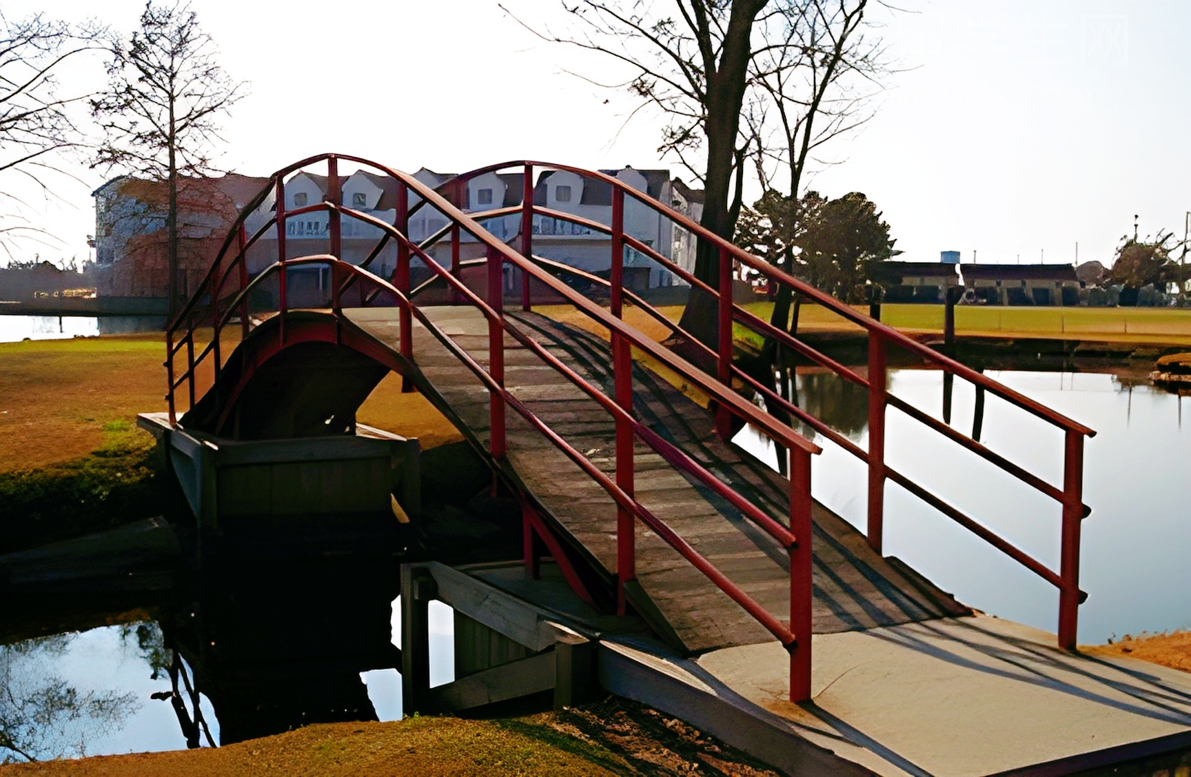 打破文化壁，我在美国这样交朋友