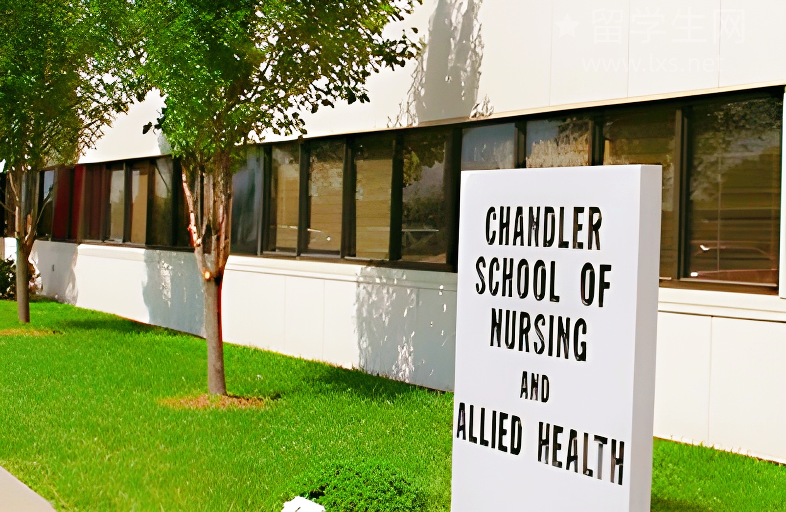 雅思OG Test2阅读答案逐题精讲