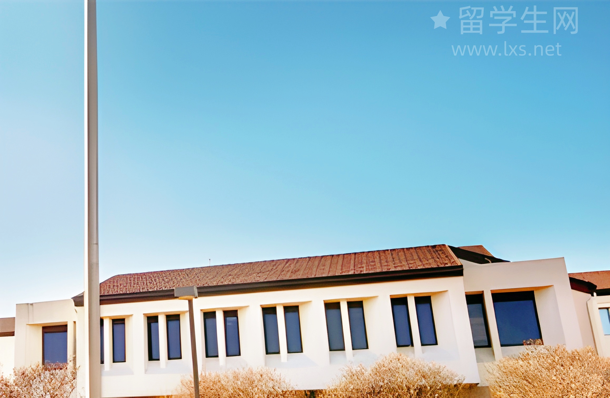 毕业想留爱尔兰？这份求职干货快收好