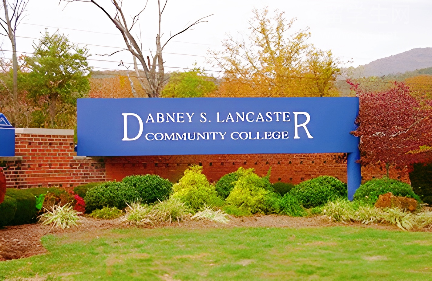 上海雅思停考，我的留学计划要凉凉了吗？