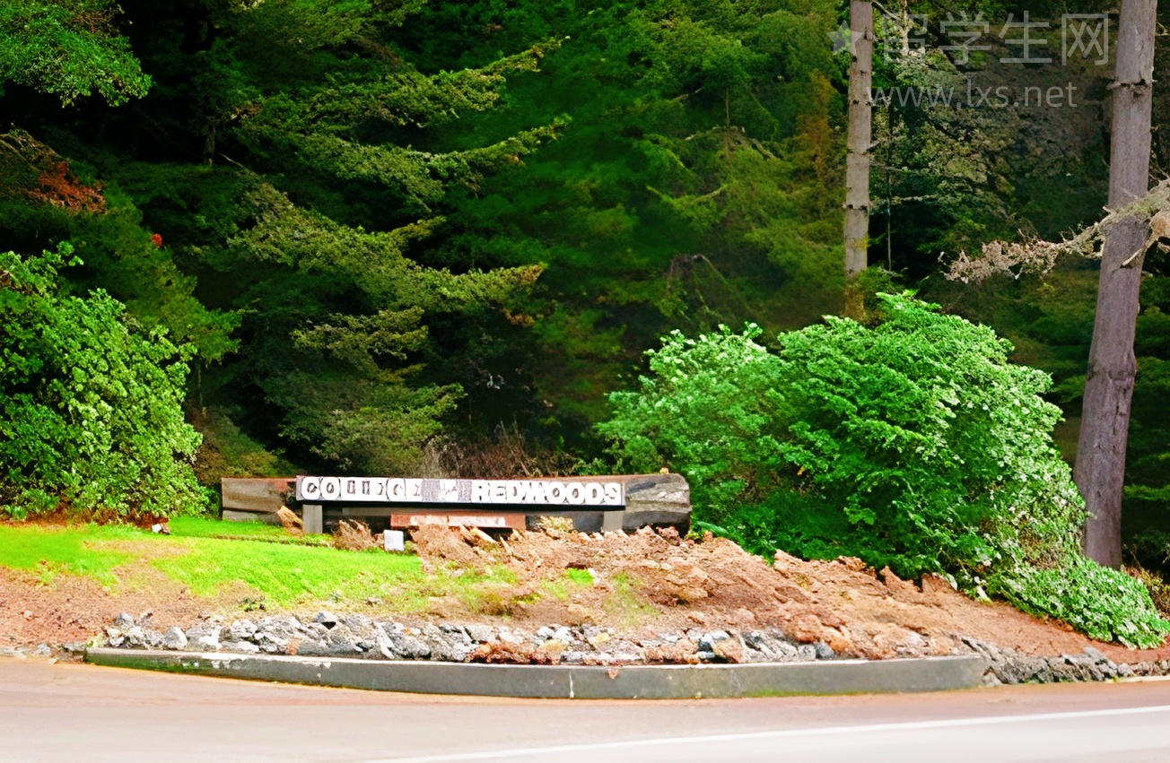 UKM本科申请必看!热门专业全盘点