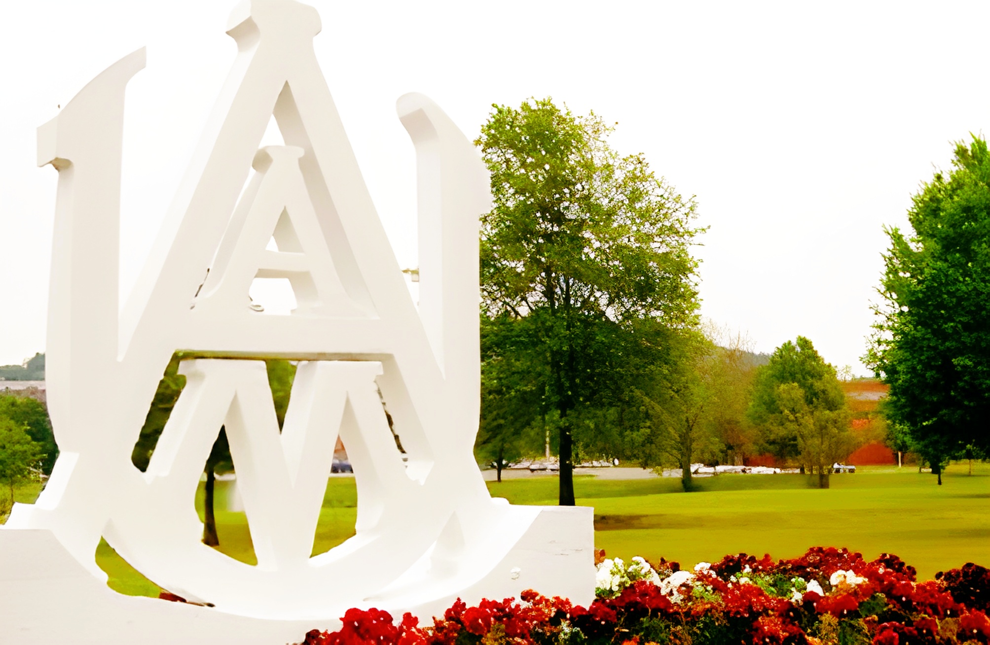 雅思过期=求职废纸？HR的回答亮了