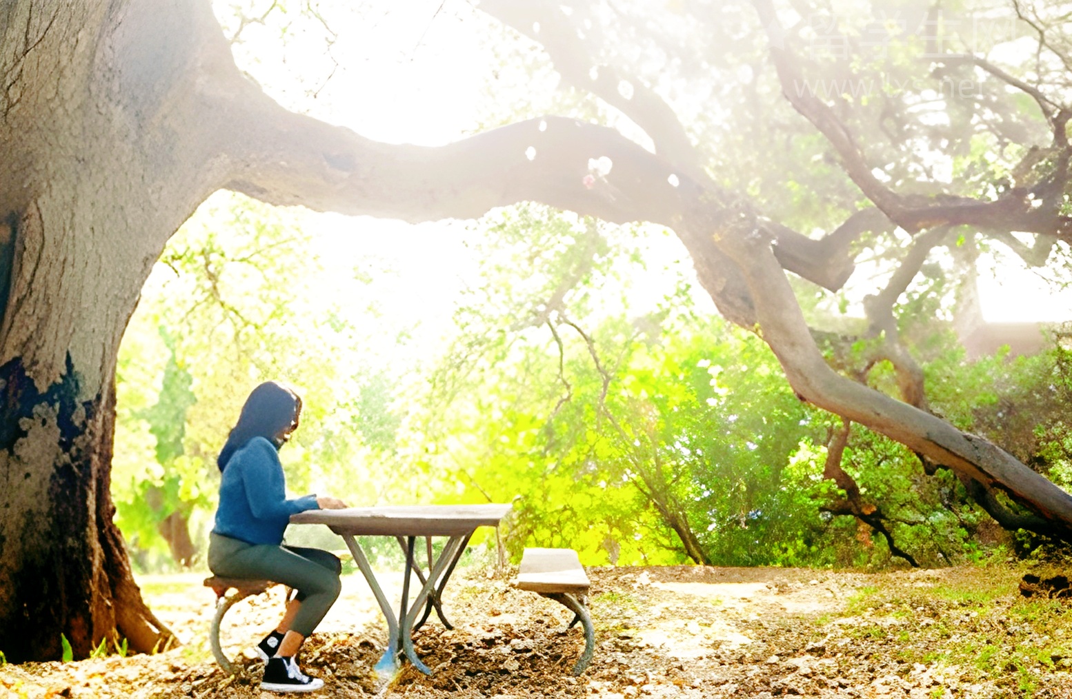 别再盲目刷题！新东方雅思高分捷径