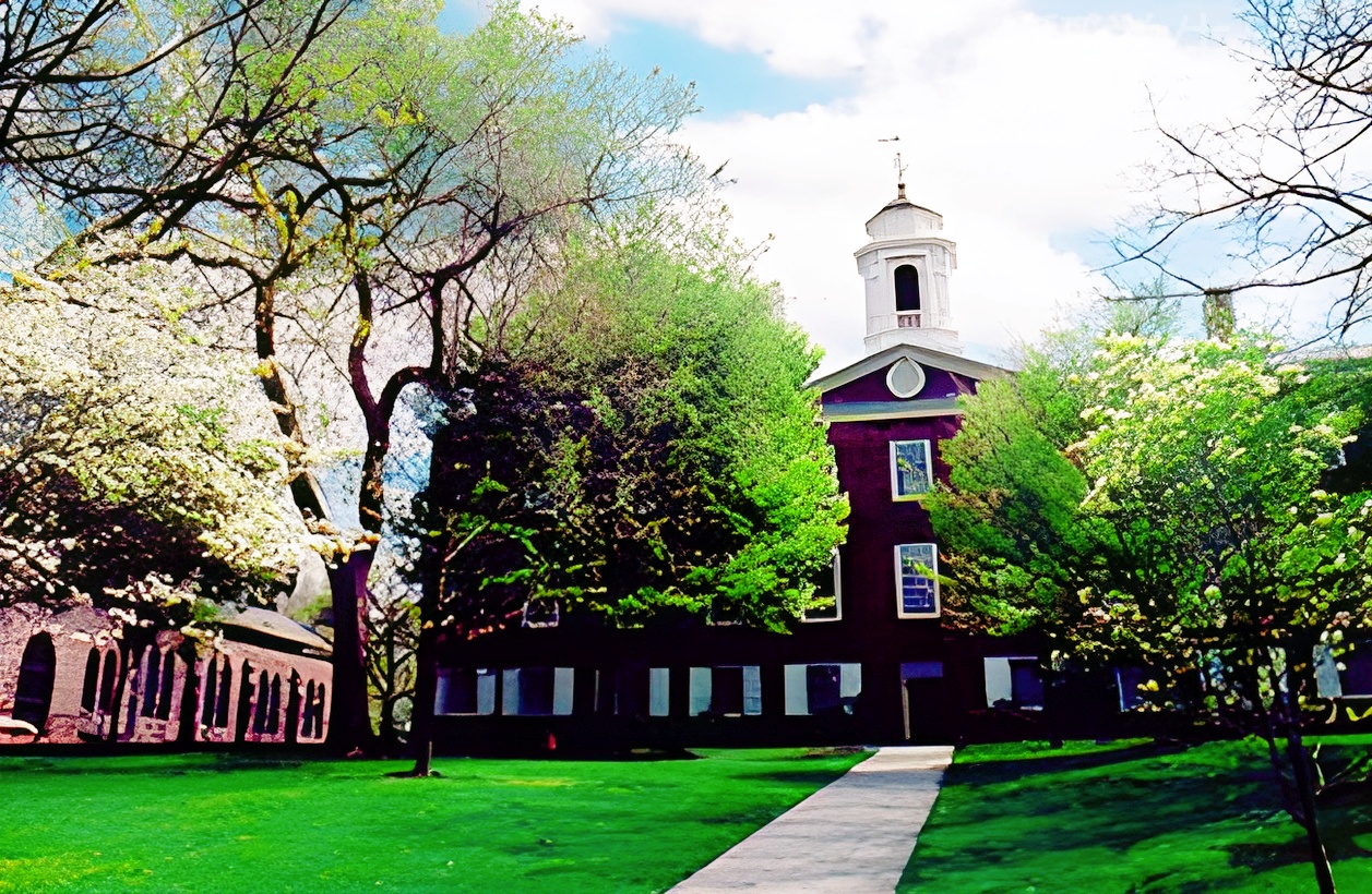 雅思培训费用大揭秘，别再花冤枉钱！