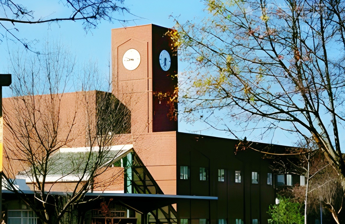 文书这样写，让招生官一眼看到你！