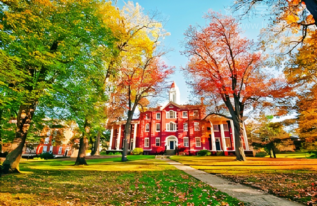 雅思口语聊电视，这样说轻松拿高分