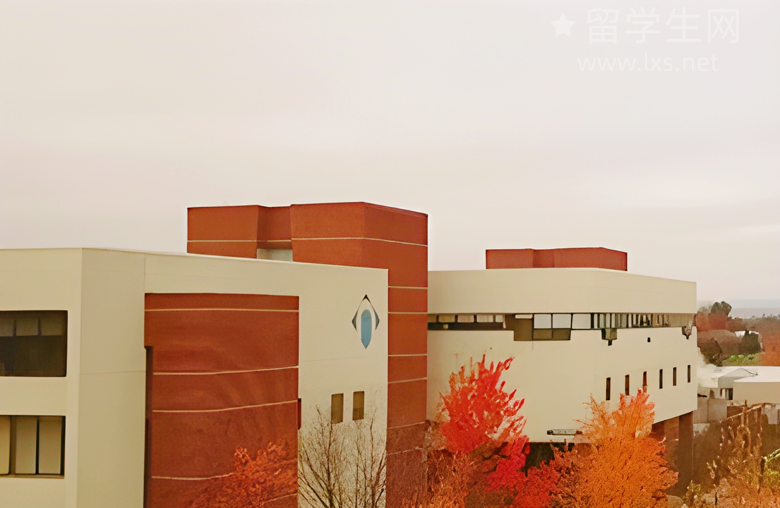 雅思三战，从崩溃到高分上岸