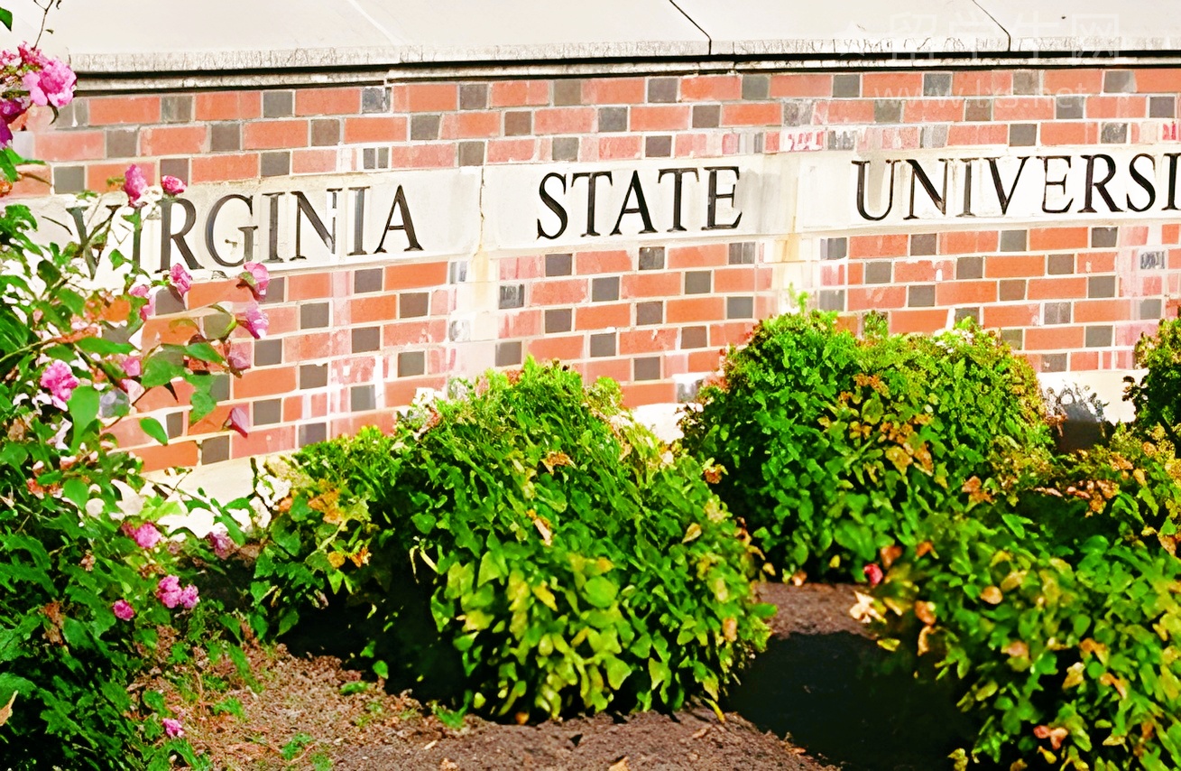 雅思写作首段，三句话惊艳考官