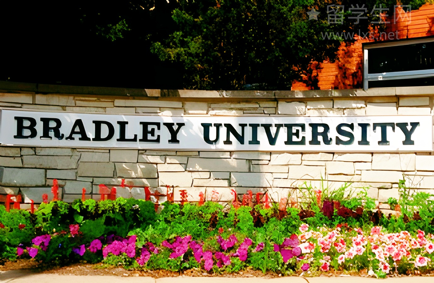 雅思阅读做不完？用对技巧照样高分