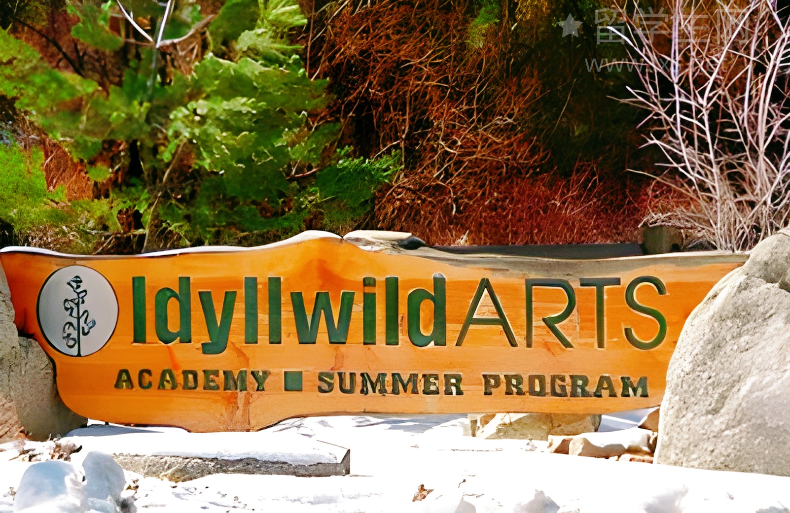 佩雅思，凭什么成为时尚圈新宠？