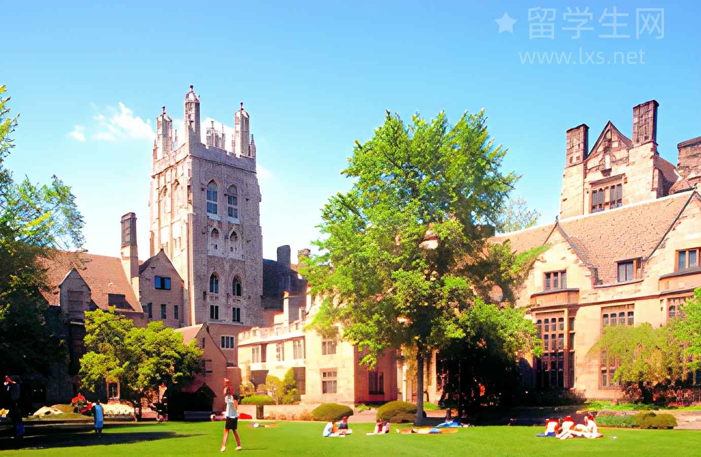 澳洲WHV开抢！毕业生边赚边玩必看