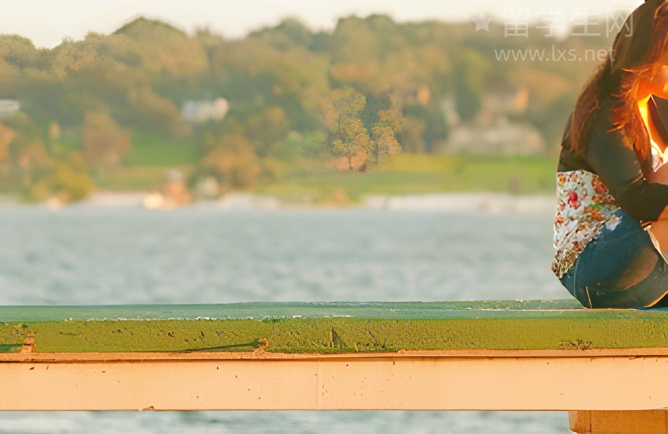 美国留学避坑干货，这篇赶紧收藏