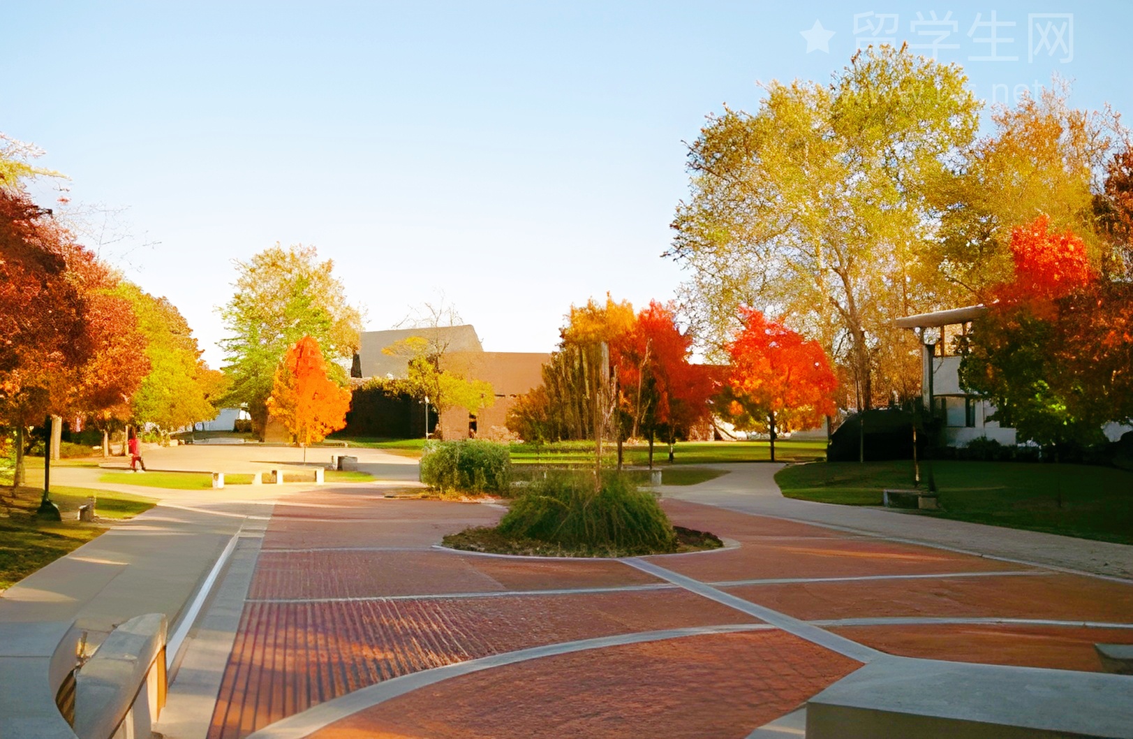 香港雅思保姆级攻略，一篇搞定！