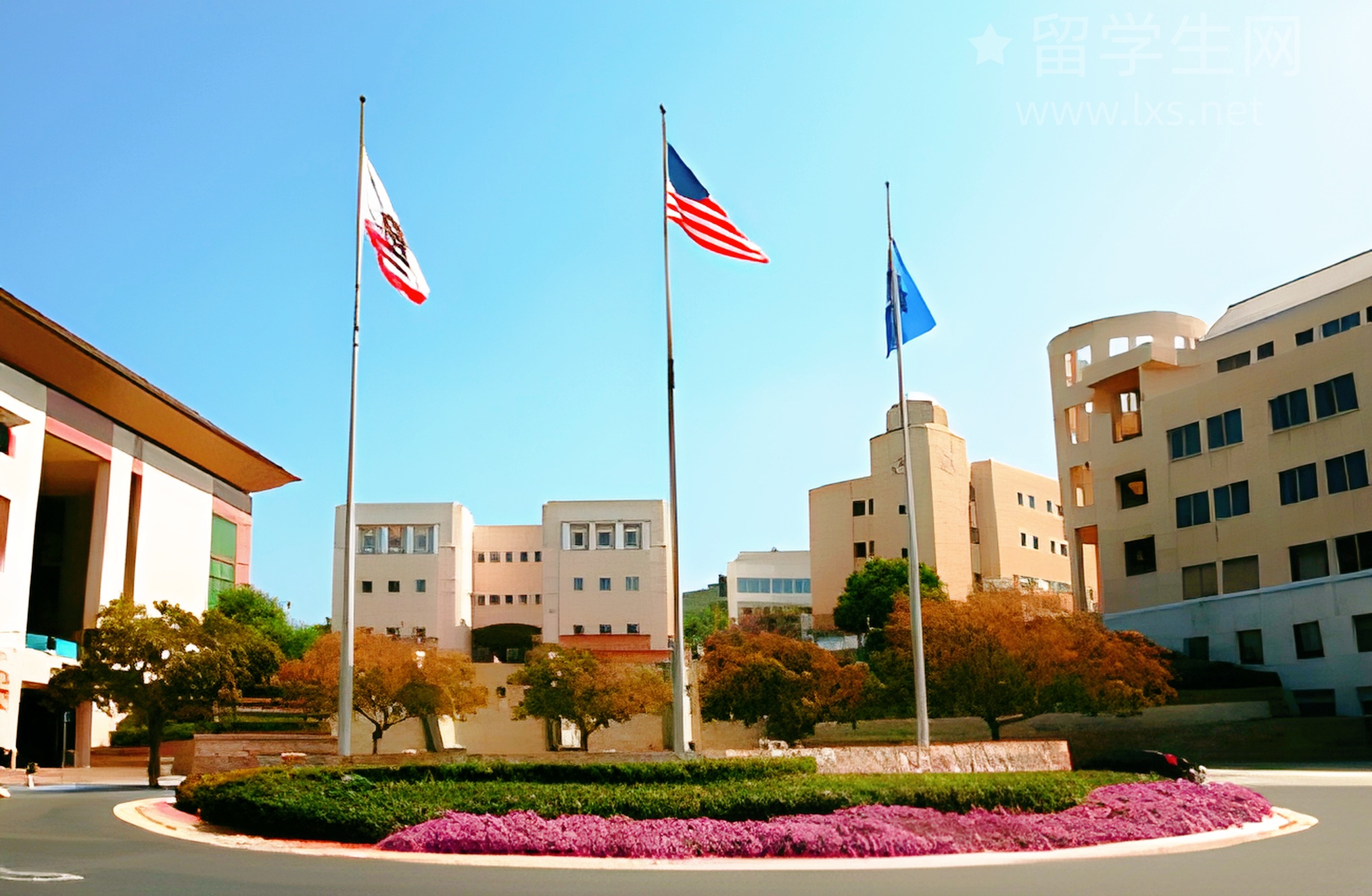 雅思高分捷径，私教带你弯道超车