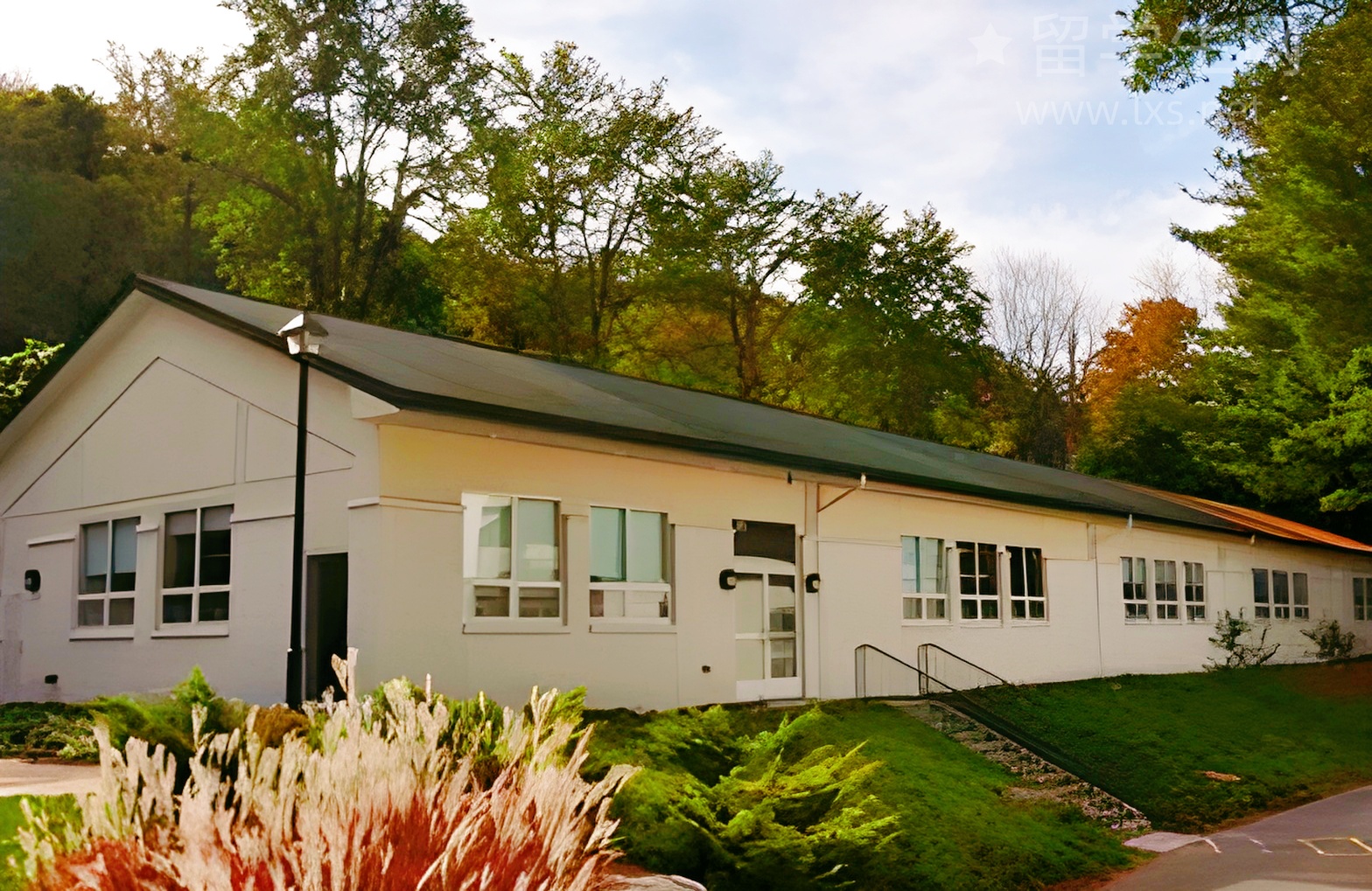 保姆级雅思备考指南，小白也能逆袭