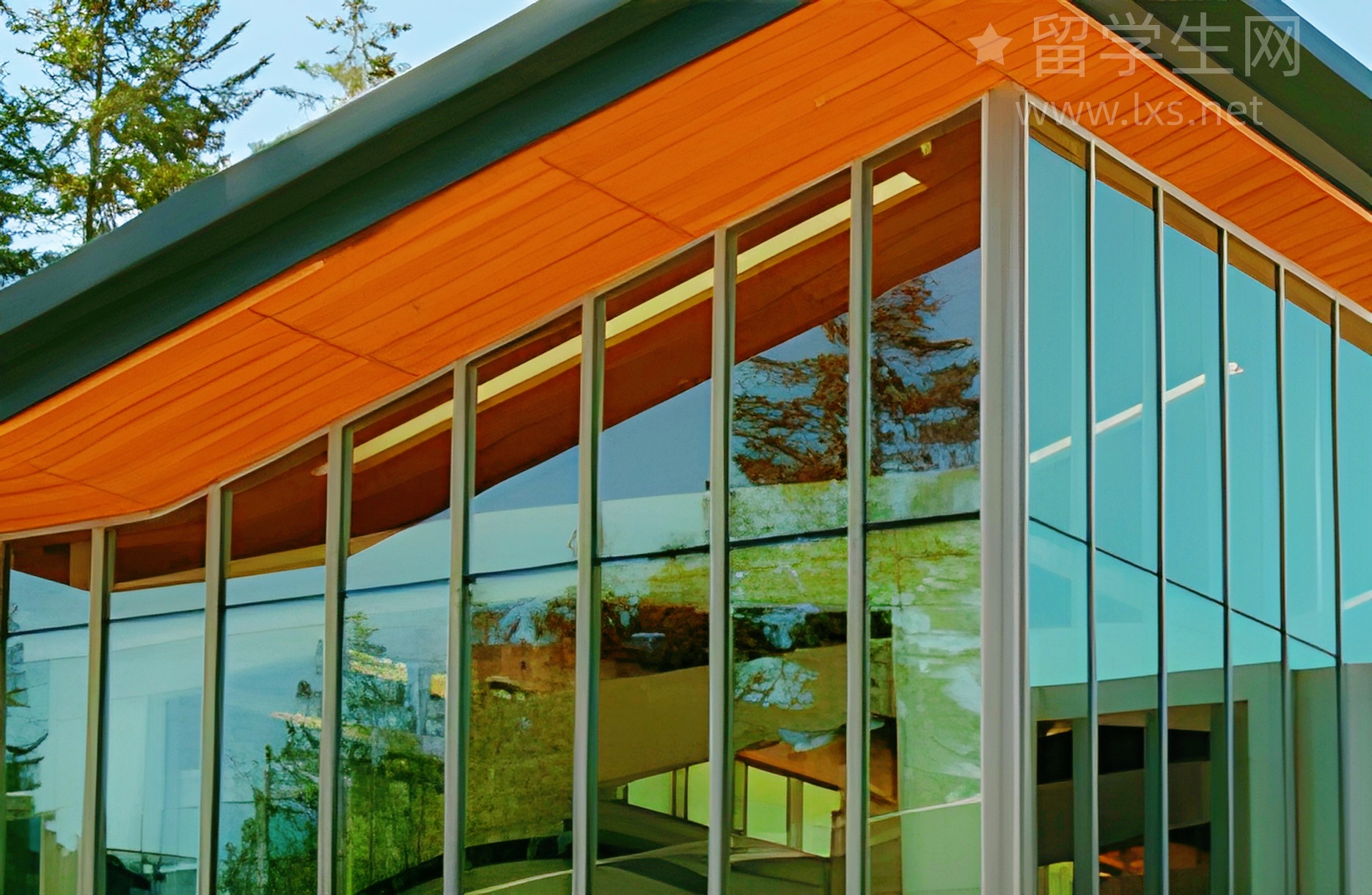 澳洲选课避坑指南，轻松拿下高分