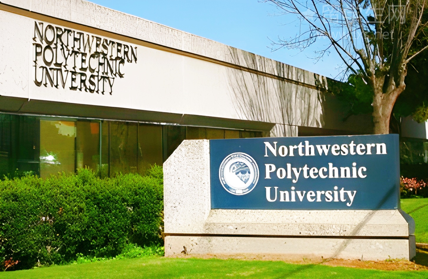 别再盲目备考，雅思高分课程看这里