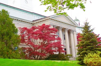 桃开一瞬，雅思一生