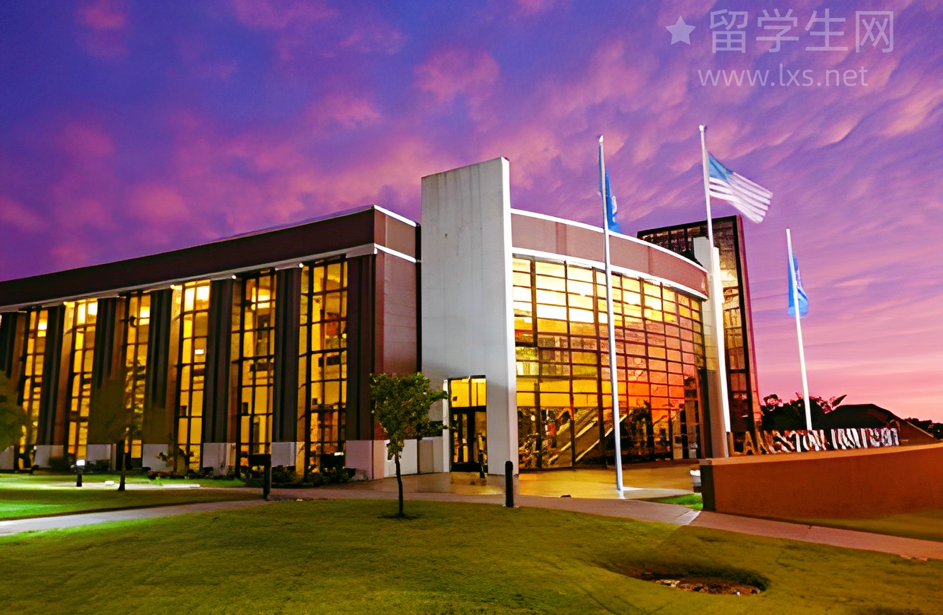 别再纠结！韦仕敦宿舍保姆级选房攻略