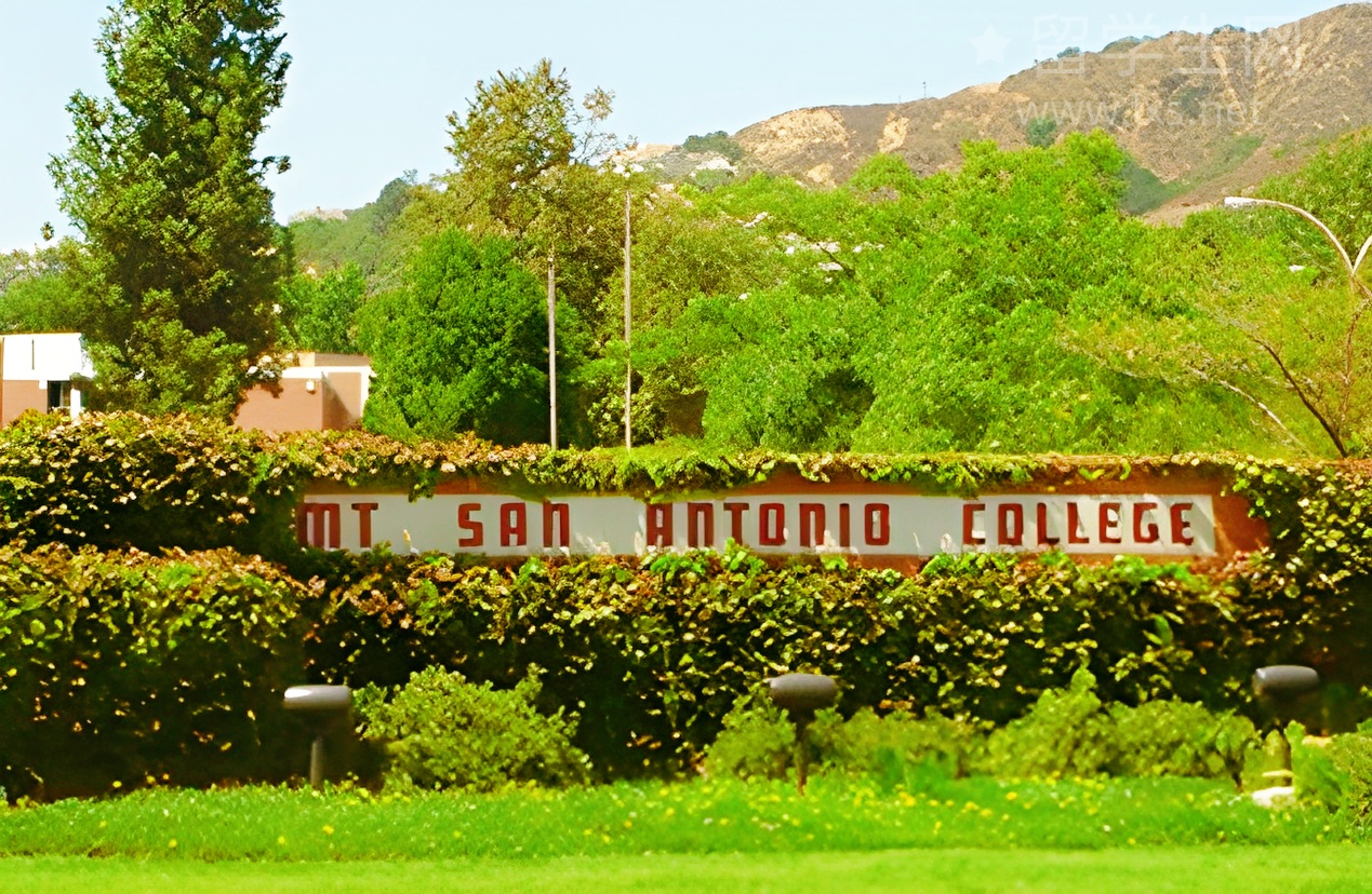 韩国影像留学：追剧天堂还是内卷地狱？