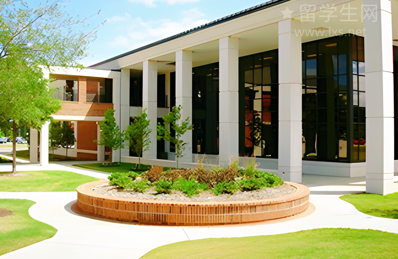 拿下墨大本科offer，保姆级申请攻略