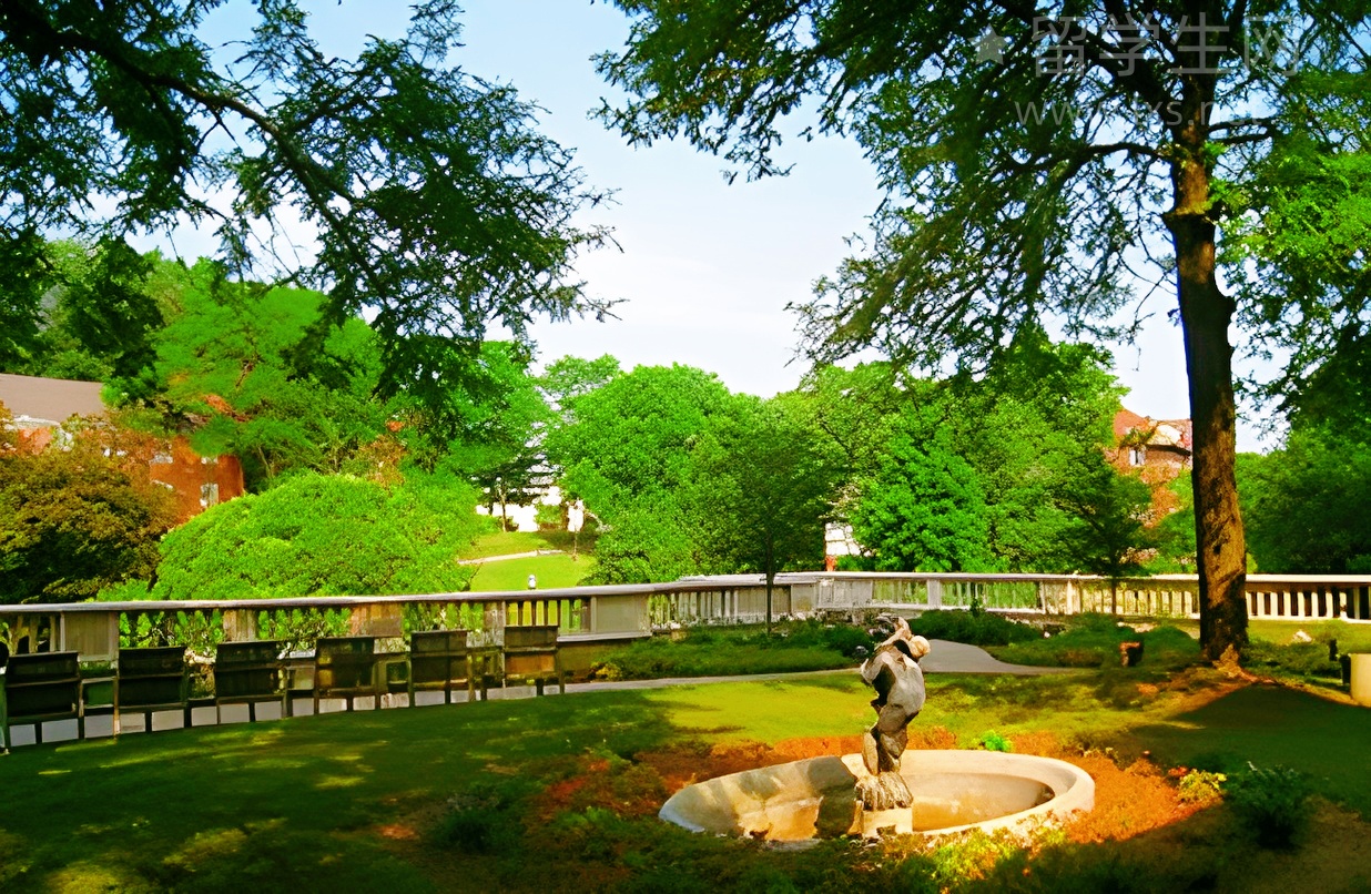 雅思直播课，高效提分看这一场