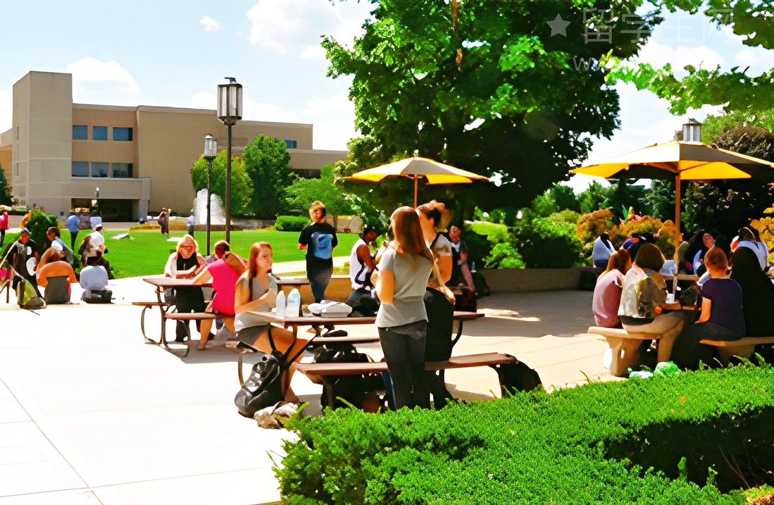 雅思提前多久报名？抢考位攻略在此！