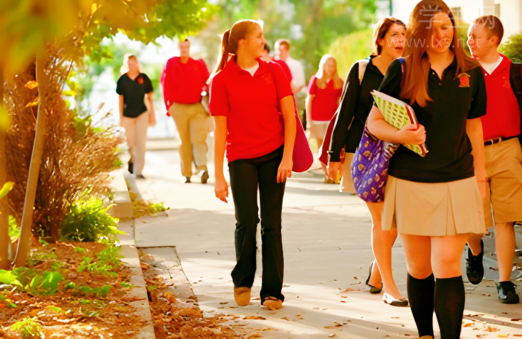 雅思总分计算揭秘，一篇搞定不吃亏